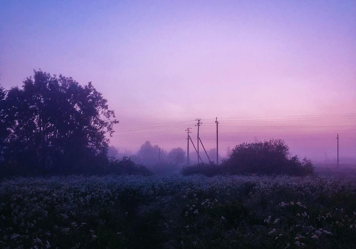 一条“黑色料社区”的转发，让我明白了越“劲爆”越可能是编的愿你永远用不到这条经验。