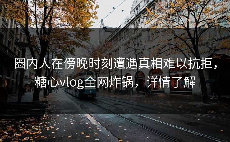 圈内人在傍晚时刻遭遇真相难以抗拒，糖心vlog全网炸锅，详情了解