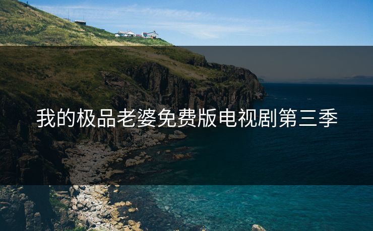 我的极品老婆免费版电视剧第三季