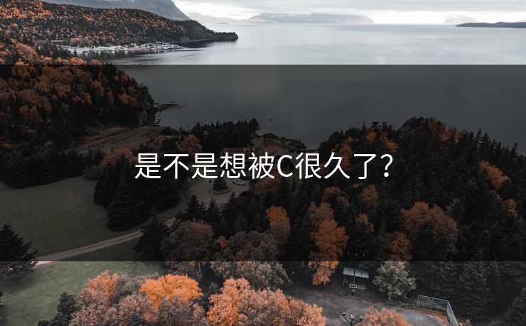 是不是想被C很久了?